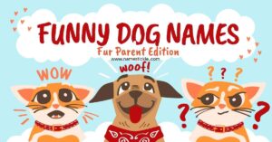 300+ Funny Dog Names: Complete List of Clever & Creative Ideas