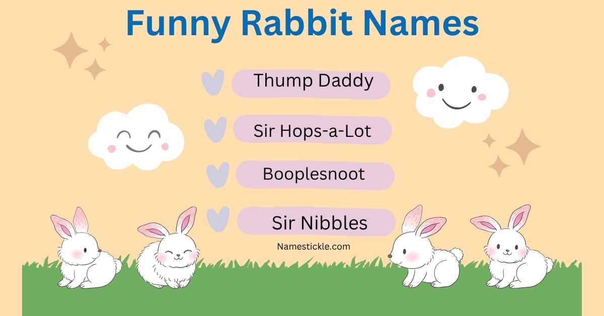 Read more about the article Hilarious Rabbit Names: 300+ Funny & Clever Bunny Name Ideas