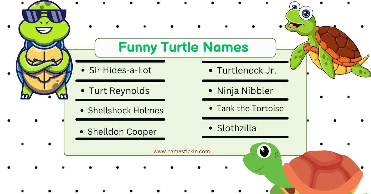 Read more about the article Best 250+ Funny Turtle Names for Your New shelled Friend