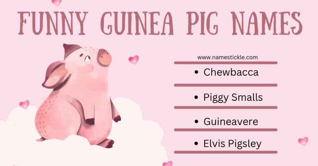 Best 200 Funny Guinea Pig Names for Boys and Girls