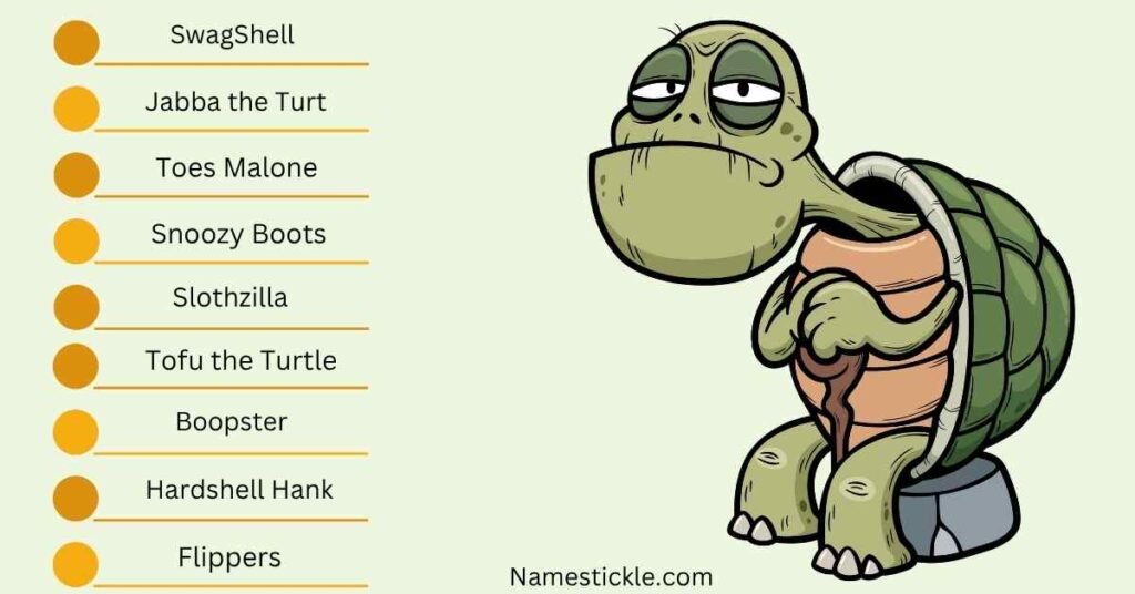 Cartoon of a grumpy-looking turtle sitting on a stool with a list of humorous pet names for turtles
