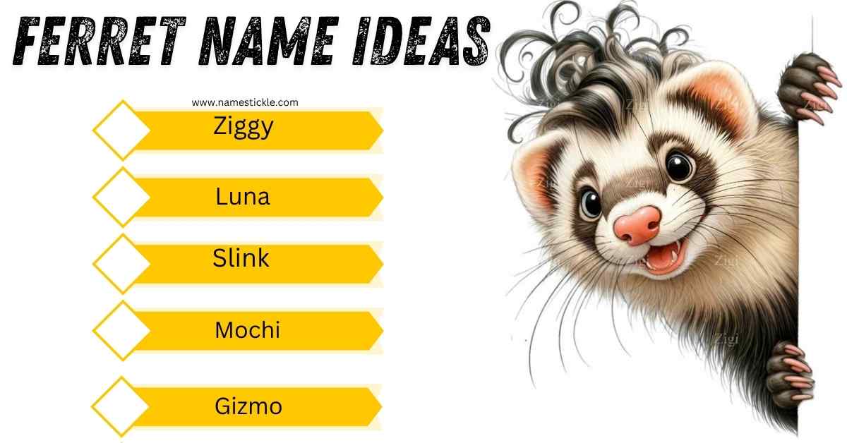 Read more about the article 185 Best Ferret Names: Funny, Cute & Unique Ideas for Your Pet