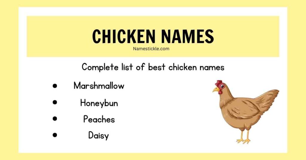 300+ Pet Chicken Names - Cute, Funny and Classic