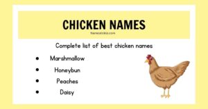 300+ Pet Chicken Names - Cute, Funny and Classic