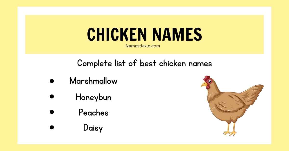 Read more about the article 300+ Pet Chicken Names – Cute, Funny and Classic
